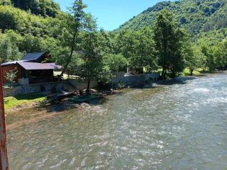 Cottage Auto Camp Vinac - 7