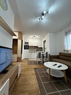 Milnik apartman - Zlatibor - 0