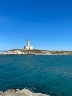 La Marquise - Vieste - 2