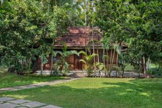 Big Banyan Vineyard & Resort - Bangalore - 5