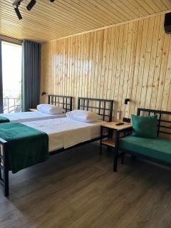 Hotel Eurica - Kutaisi - 5