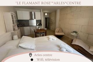 Le flamant rose Arles centre - 0