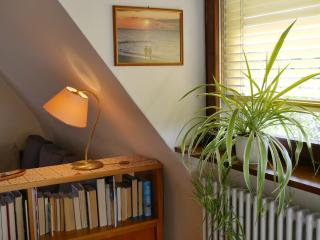 Ferienwohnung Lahr - Lahr - 1