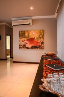 Kingfisher on Vaal, Parys - Parys - 5