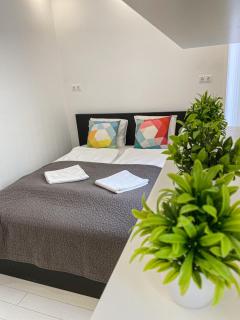 Modern and minimalist Apartment in Downtown - Budapest - 1