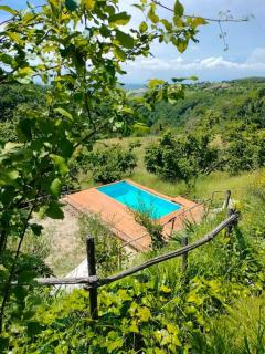 Casa in campagna nelle Langhe - Belvedere Langhe - 8