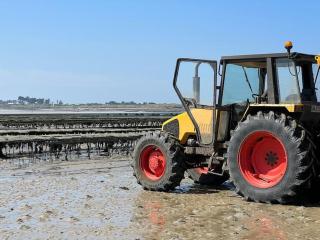 Appart avec vue mer incroyable sur l'Aber Wrac'h - 2
