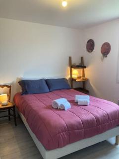 Maison calme avec garage et jardin clos avec ménage inclus - Le Fenouiller - 2