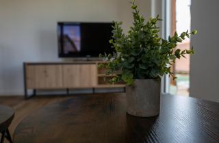 Schwarzwald Apartment - Albbruck - 8