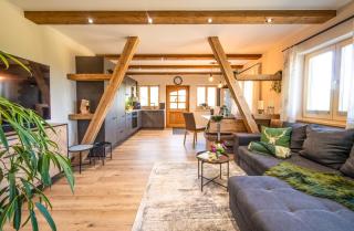 Chalet Waldzeit - Zachenberg - 7