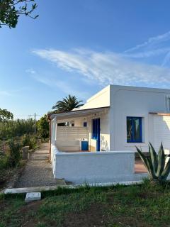 Calanave 10 - Ventotene - 4