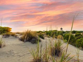 Appartement 2 pièces avec terrasse, parking privé, proche mer et commerces - FR-1-307-57 - 4