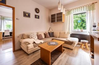 Apartma Mojca - NEW BATHROOM nov24 - Kranjska Gora - 5
