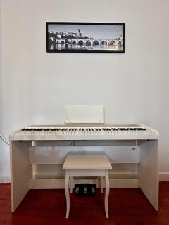 L'Epinette - appartement T3 hypercentre Albi - 4