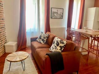 L'Epinette - appartement T3 hypercentre Albi - 5