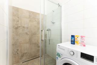 Big and beautiful apartment - S9 - Prague - 2