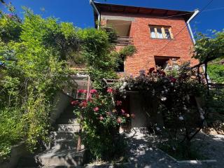 Wine House KNIAZ - Sagarejo - 9