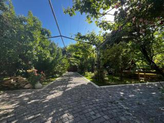 Wine House KNIAZ - Sagarejo - 6