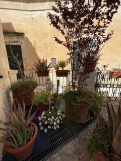 Antica Dimora dei Nonni - Lecce - 3