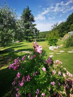 Domaine L'Amourie Sud Ardèche - 2