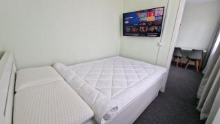 CityCenter Apartment - BigTV-PS4-Netflix-Parking - Chemnitz - 7