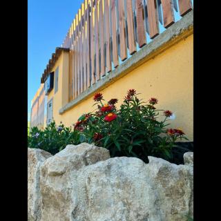 Summer House - Fondi - 7