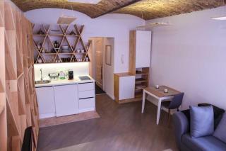 Studio XXL & garage parking - Sarajevo - 7