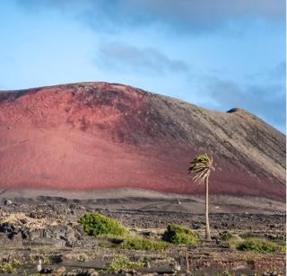 LANZAROTE Casa Volcánica-Anclada sobre la lava del volcán - Montaña Blanca - 5