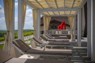 Montalbera Wine Suites - Montemagno - 8