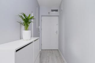 One Bedroom Apartment with a Balcony - Dietla 109 street - 2