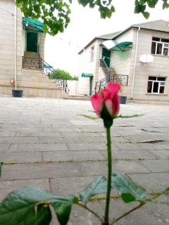 Uyut Hotel Quba - Quba - 1