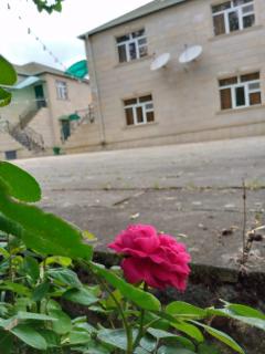 Uyut Hotel Quba - Quba - 4
