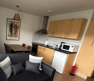 Warm and cosy downtown apartment - Akureyri - 9