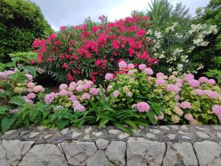 Apartment Soric - Trogir - 7