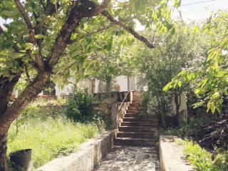 Sofia Garden House - Akamatra - 5