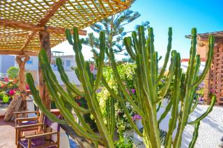 Ocean View 5 bed Villa Sauna - Mirleft - 6