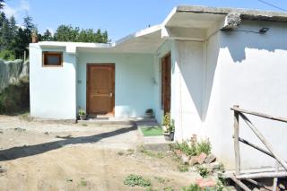 Pine Wood Homestay - 1