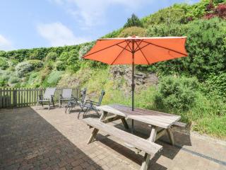 Roosters - Lostwithiel - 8