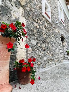 Storace s House - Falerna - 4