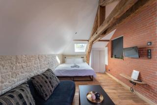 Evasion chic, spa et sauna sous les toits - Nancy - 2