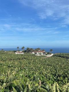 Eco Finca Vista Mar y Teide - 6