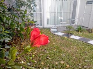 RAIZ DEL CIELO, entre 2 jardines de ensueño - Córdoba - 4