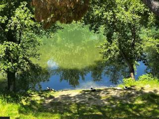 Sieve Suite Quiet Riverside Apartment near Florence - 2