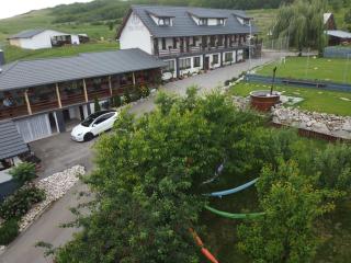 Pensiunea Fata Viilor - 0