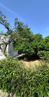 Garden Home - Panormos Kalymnos - 9