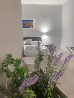 NICOLE LUXURY ROOMS - Fondi - 3