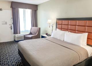 Quality Inn Airport - Cruise Port - Tampa - 8