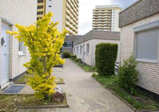 Terrassenhaus Waldläufer im Harz mit Schwimmbad - 2
