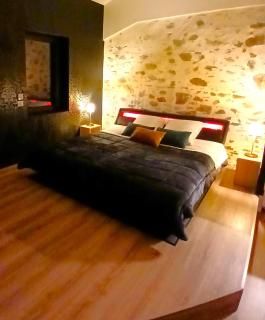 La Passionnante Gîte avec Spa privatif - Saint-Philbert-de-Bouaine - 0