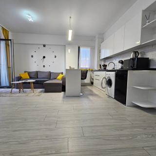 Apartament Dem Rădulescu langa strand - Râmnicu Vâlcea - 6
